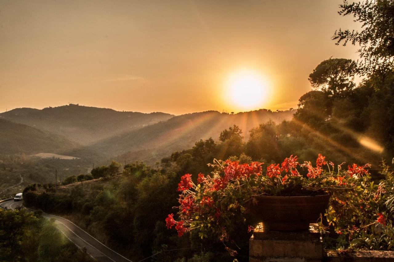 Bed and Breakfast Casale I Cirillo Rutino Экстерьер фото