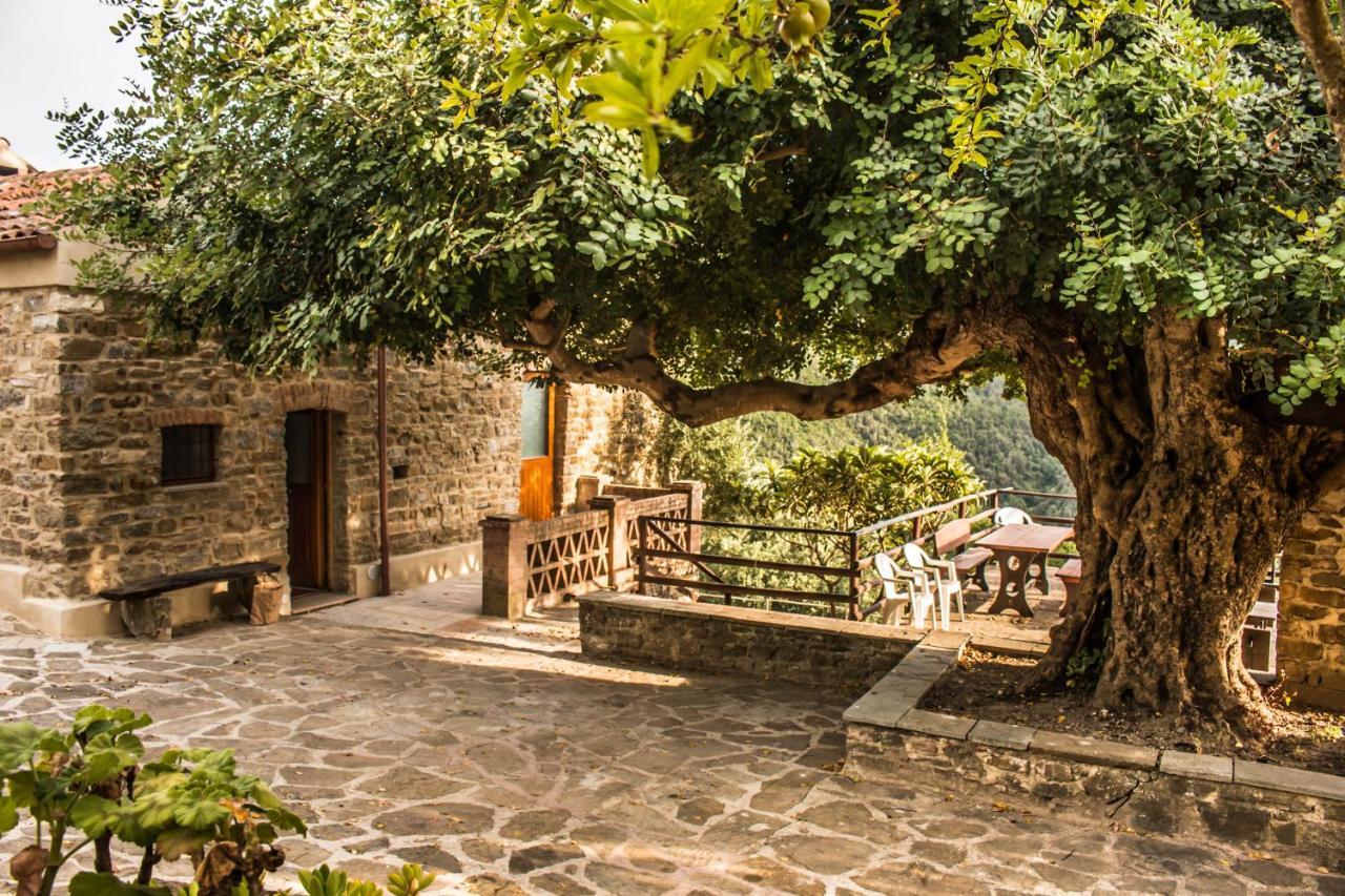 Bed and Breakfast Casale I Cirillo Rutino Экстерьер фото