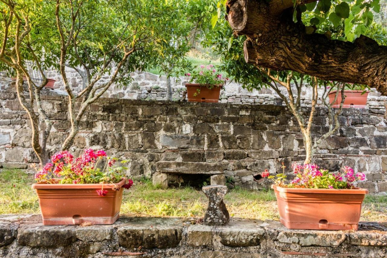 Bed and Breakfast Casale I Cirillo Rutino Экстерьер фото