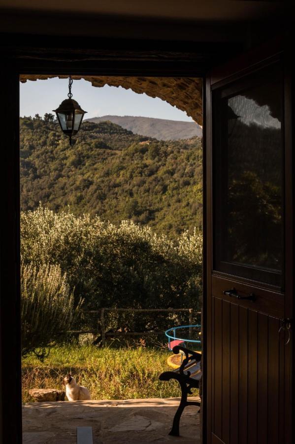 Bed and Breakfast Casale I Cirillo Rutino Экстерьер фото