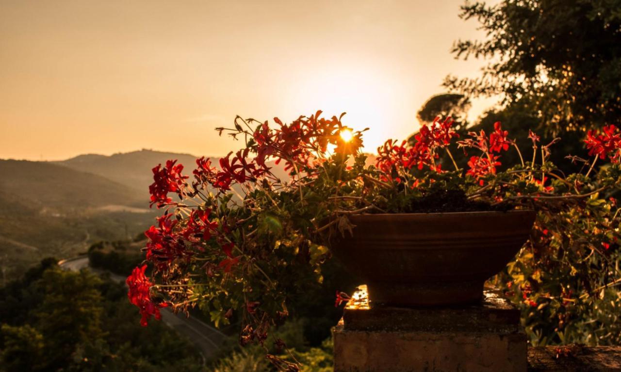 Bed and Breakfast Casale I Cirillo Rutino Экстерьер фото