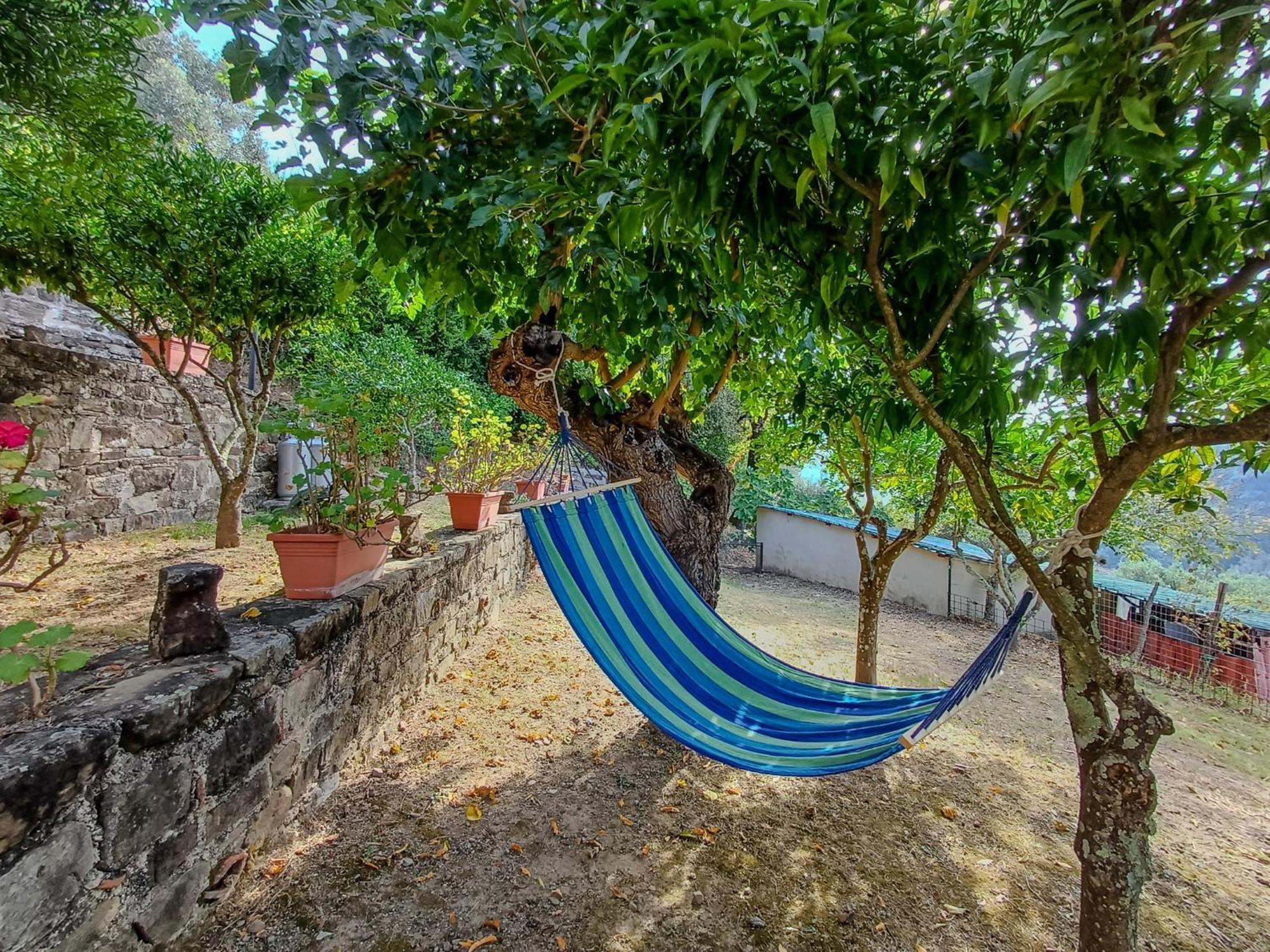 Bed and Breakfast Casale I Cirillo Rutino Экстерьер фото